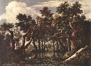 Jacob van Ruisdael The Marsh in a Forest painting